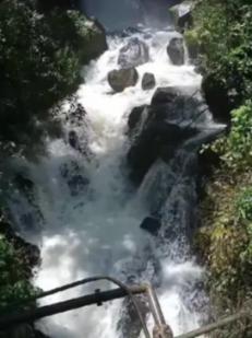 探寻自发粉和白面掺一块行吗,自发粉和白面掺一块行吗?,解锁知识星球平台的奇妙之旅